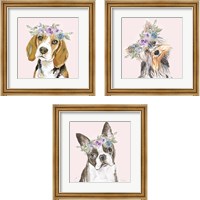 Framed 'Flower Crown Pet 3 Piece Framed Art Print Set' border=