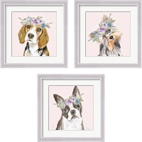 Framed Flower Crown Pet 3 Piece Framed Art Print Set