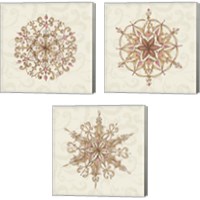 Framed 'Elegant Season Snowflake 3 Piece Canvas Print Set' border=