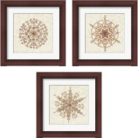 Framed 'Elegant Season Snowflake 3 Piece Framed Art Print Set' border=