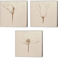 Framed 'Modern Vintage Floral  3 Piece Canvas Print Set' border=