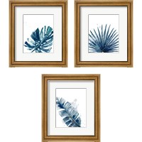 Framed Teal Palm Frond 3 Piece Framed Art Print Set