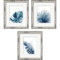Framed 'Teal Palm Frond 3 Piece Framed Art Print Set' border=