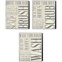 Framed Bath Reminders in Gray 3 Piece Canvas Print Set