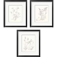 Framed Nature Sketchbook 3 Piece Framed Art Print Set