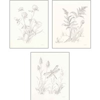 Framed Nature Sketchbook 3 Piece Art Print Set