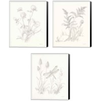 Framed Nature Sketchbook 3 Piece Canvas Print Set