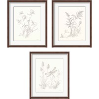Framed 'Nature Sketchbook 3 Piece Framed Art Print Set' border=