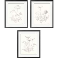 Framed Nature Sketchbook 3 Piece Framed Art Print Set
