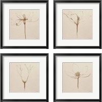 Framed 'Modern Vintage Floral  4 Piece Framed Art Print Set' border=