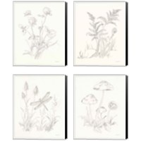 Framed 'Nature Sketchbook 4 Piece Canvas Print Set' border=