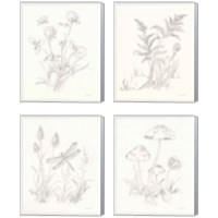 Framed 'Nature Sketchbook 4 Piece Canvas Print Set' border=