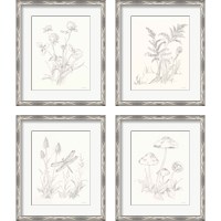 Framed 'Nature Sketchbook 4 Piece Framed Art Print Set' border=