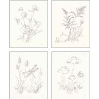 Framed 'Nature Sketchbook 4 Piece Art Print Set' border=