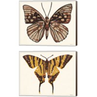 Framed 'Papillon 2 Piece Canvas Print Set' border=