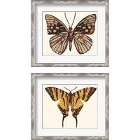 Framed 'Papillon 2 Piece Framed Art Print Set' border=