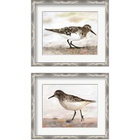 Framed 'Sandpiper 2 Piece Framed Art Print Set' border=