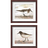 Framed 'Sandpiper 2 Piece Framed Art Print Set' border=