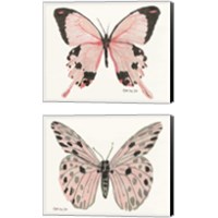 Framed Butterfly 2 Piece Canvas Print Set