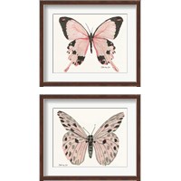 Framed Butterfly 2 Piece Framed Art Print Set