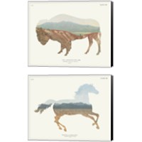 Framed 'American Southwest 2 Piece Canvas Print Set' border=