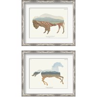 Framed 'American Southwest 2 Piece Framed Art Print Set' border=