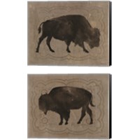 Framed 'Buffalo Impression 2 Piece Canvas Print Set' border=
