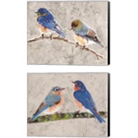 Framed Eastern Bluebirds 2 Piece Canvas Print Set