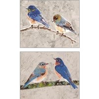 Framed 'Eastern Bluebirds 2 Piece Art Print Set' border=