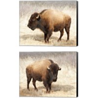 Framed American Bison 2 Piece Canvas Print Set