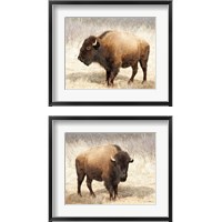 Framed American Bison 2 Piece Framed Art Print Set