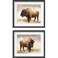 Framed 'American Bison 2 Piece Framed Art Print Set' border=