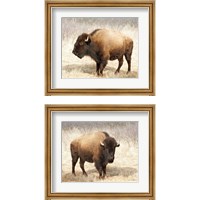 Framed American Bison 2 Piece Framed Art Print Set