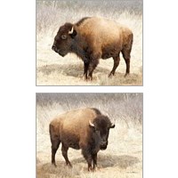 Framed American Bison 2 Piece Art Print Set