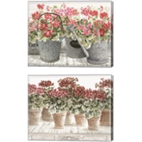 Framed 'Potted Geranium Mix 2 Piece Canvas Print Set' border=