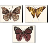 Framed 'Papillon 3 Piece Canvas Print Set' border=