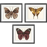 Framed 'Papillon 3 Piece Framed Art Print Set' border=