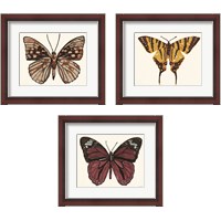 Framed 'Papillon 3 Piece Framed Art Print Set' border=