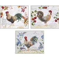 Framed 'Seasonal Rooster  3 Piece Art Print Set' border=