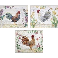 Framed 'Seasonal Rooster  3 Piece Art Print Set' border=