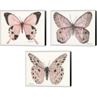 Framed 'Butterfly 3 Piece Canvas Print Set' border=