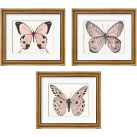 Framed 'Butterfly 3 Piece Framed Art Print Set' border=