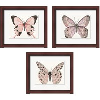 Framed 'Butterfly 3 Piece Framed Art Print Set' border=