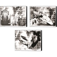Framed 'Modern Black & White Safari Animal 3 Piece Canvas Print Set' border=