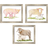 Framed 'Life on the Farm Animal Element 3 Piece Framed Art Print Set' border=