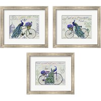 Framed 'Peacock On Bicylce 3 Piece Framed Art Print Set' border=