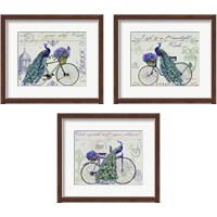 Framed 'Peacock On Bicylce 3 Piece Framed Art Print Set' border=