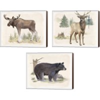 Framed 'Wilderness Collection 3 Piece Canvas Print Set' border=