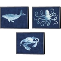 Framed Sealife on Blue 3 Piece Canvas Print Set