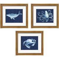 Framed Sealife on Blue 3 Piece Framed Art Print Set